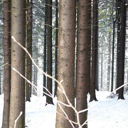 Tatil Evi Landfein Big Winterberg