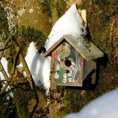 Landfein Big Tatil Evi *