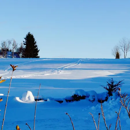 Landfein Big Tatil Evi *