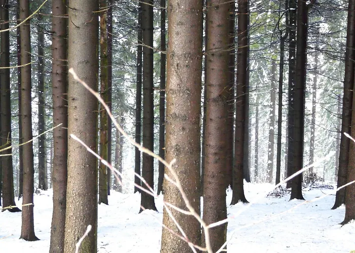 Nyaraló Landfein Big Winterberg