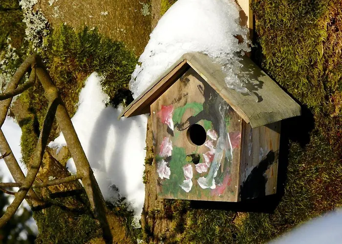 Landfein Big Nyaraló *