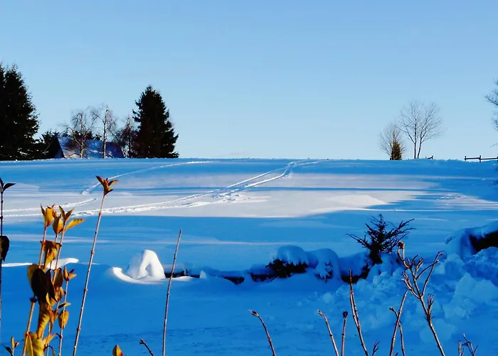 Landfein Big Nyaraló *