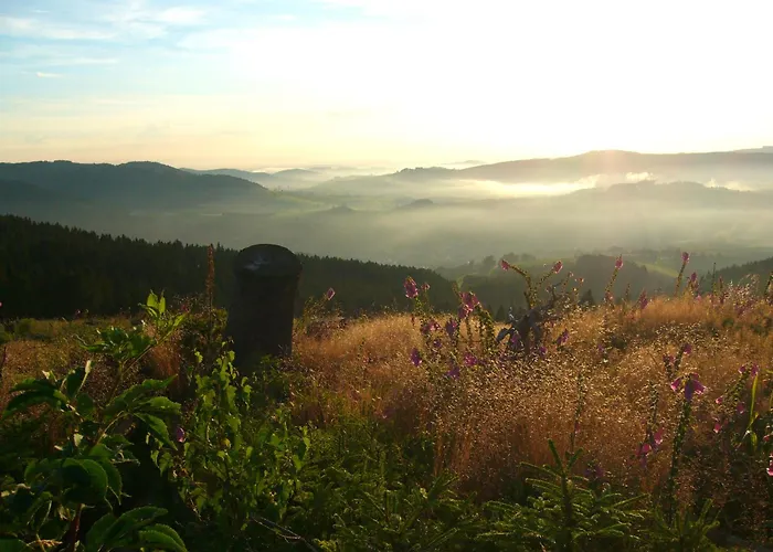 Landfein Big Nyaraló