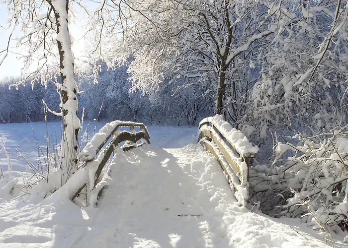 Nyaraló Landfein Big *